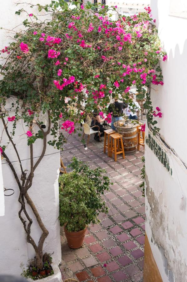 The Farm Lodge Marbella Buitenkant foto